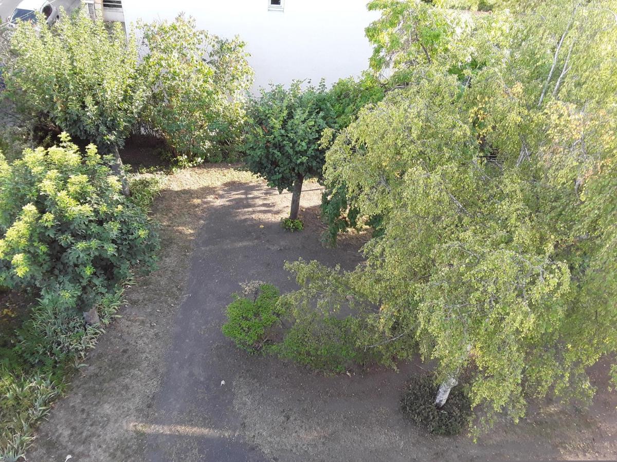 Charmant F2 Avec Vue, Proche Centre 克莱蒙费朗 外观 照片